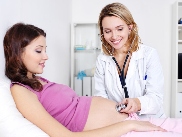 Integrative Obstetrics: Holistic Approaches To Pregnancy And Childbirth