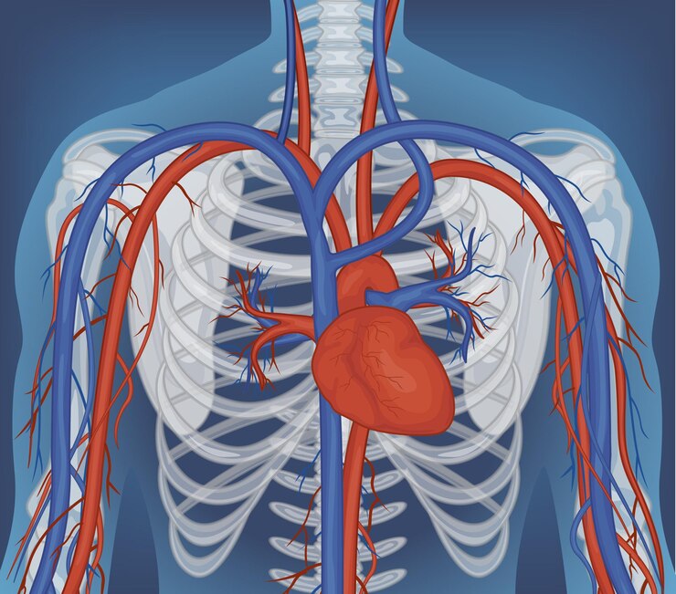 Endovascular